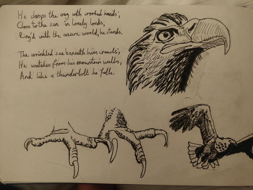 Eagle